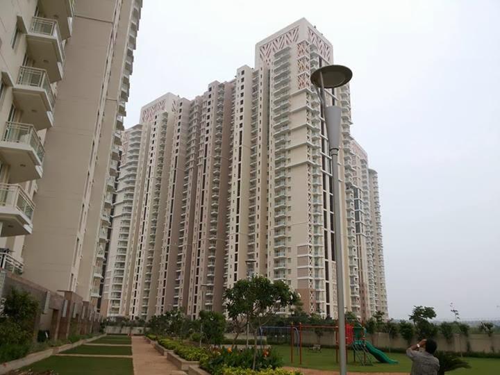 Flat Rent DLF The Summit Sector 54 Gurgaon